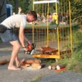 chainsaw safety